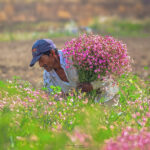 Naturaleza