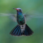 Naturaleza