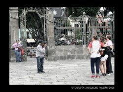 blog-grid