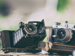 blog-grid