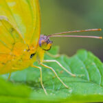 Naturaleza