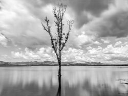 blog-grid