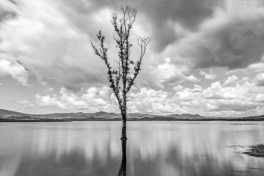 Sentimiento en Blanco y Negro