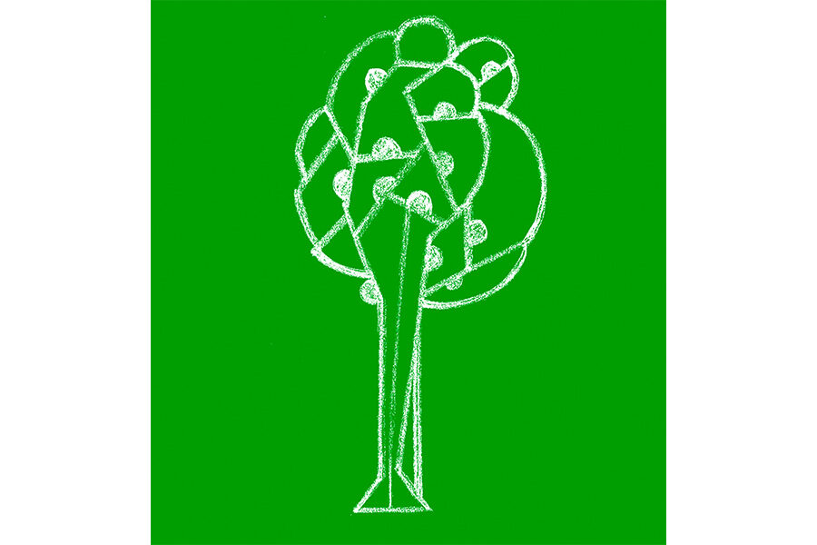 árbol 1